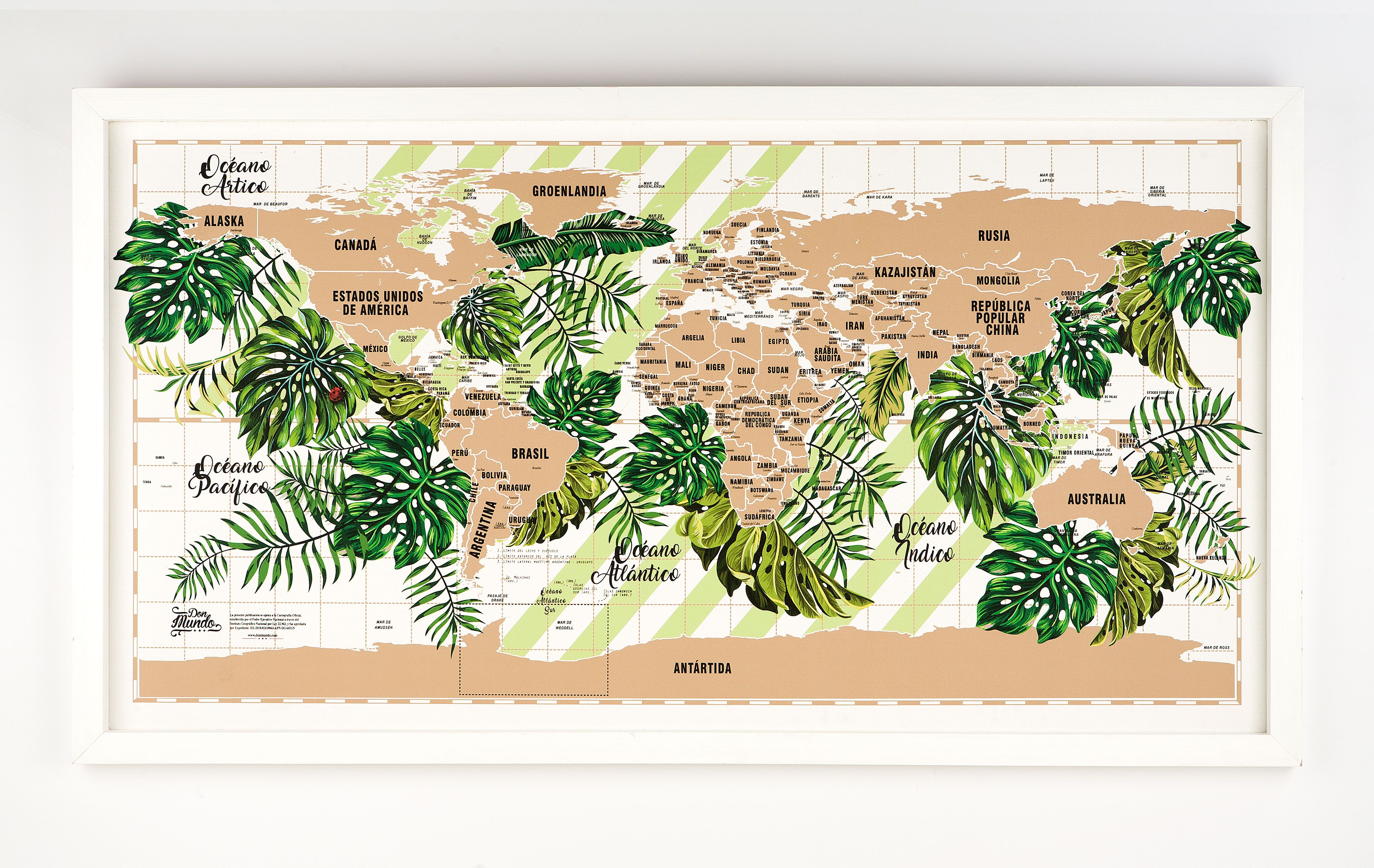 Cuadro Don Mundo Botánico